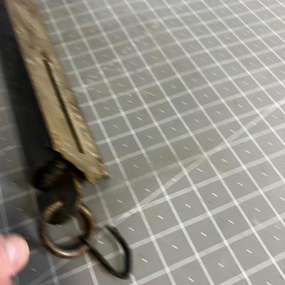 Hanging Scale 