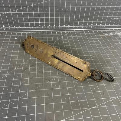 Hanging Scale 