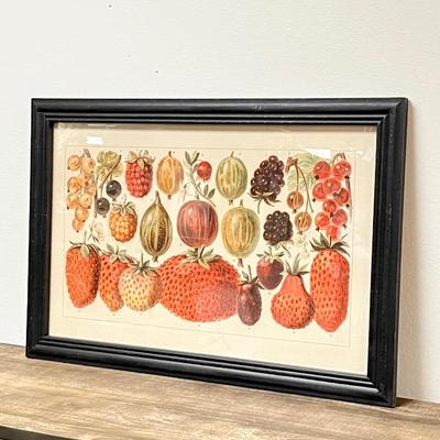 Berry Botanical Study Art