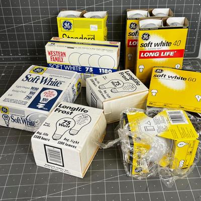 Incandescent Light Bulbs 40, 60, 75 and 100 Watt
