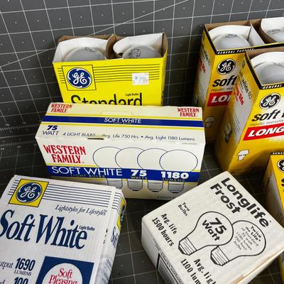 Incandescent Light Bulbs 40, 60, 75 and 100 Watt