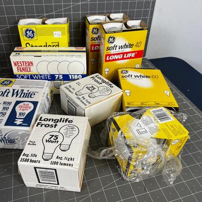 Incandescent Light Bulbs 40, 60, 75 and 100 Watt