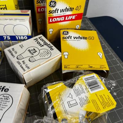 Incandescent Light Bulbs 40, 60, 75 and 100 Watt