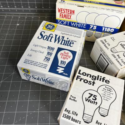Incandescent Light Bulbs 40, 60, 75 and 100 Watt