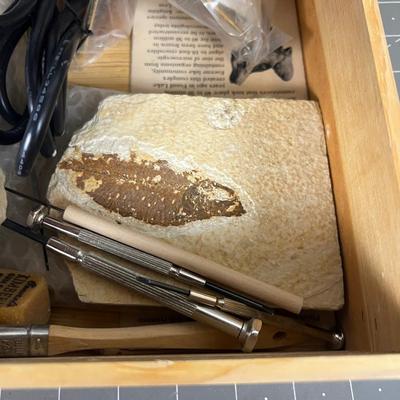 Fossil Preparation Kit