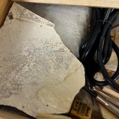 Fossil Preparation Kit