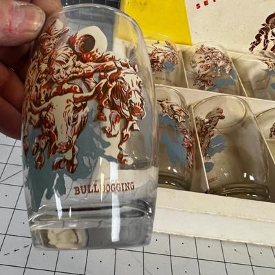 AMAZING!!! 8 Western RODEO TUMBLERS (Glasses) in the original box Plus 4 