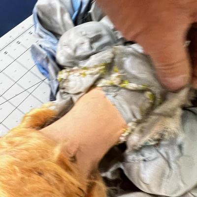 Lot of Antique Dolls 