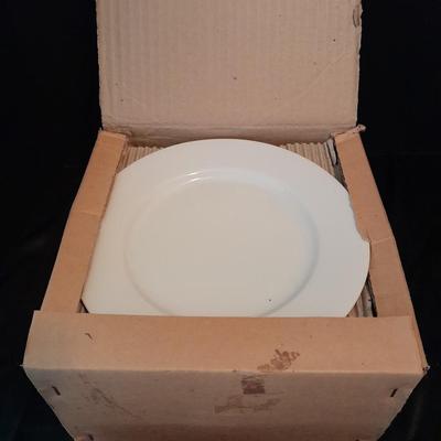 12 white salad plates with Loveland Colorado scenery transfers in boxes (1)