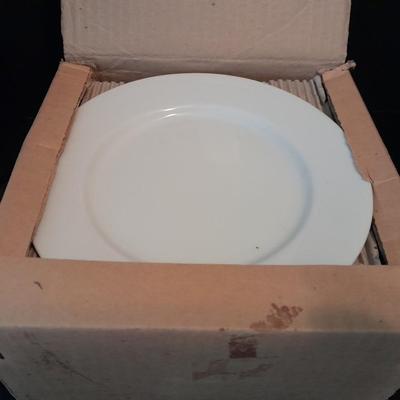 12 white salad plates with Loveland Colorado scenery transfers in boxes (1)