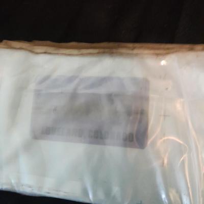 12 white salad plates with Loveland Colorado scenery transfers in boxes (1)