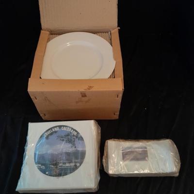 12 white salad plates with Loveland Colorado scenery transfers in boxes (1)