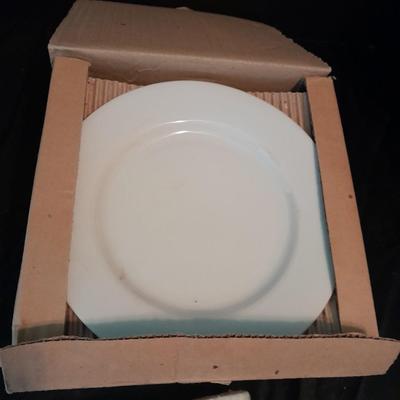 12 white salad plates with Loveland Colorado scenery transfers in boxes (2)