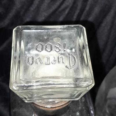 Empty Alcohol bottles with stoppers make wonderful vases!