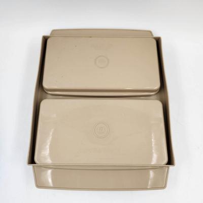 VINTAGE TUPPERWARE DEVILED EGG CONTAINER