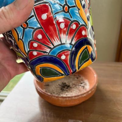 Talavera Pot w/ Succulant