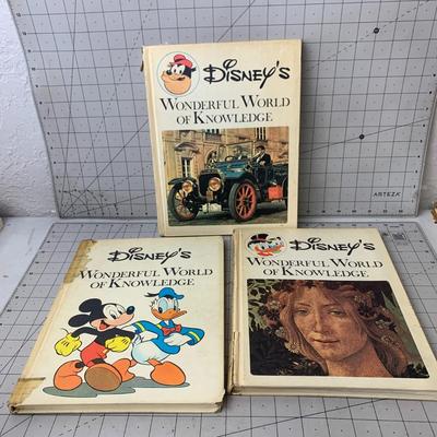 #151 Disney's Wonderful World of Knowledge Books