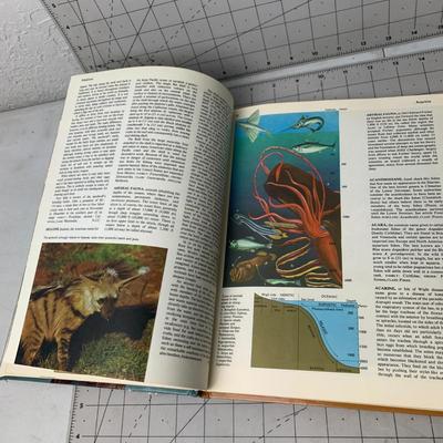 #223 Encyclopedia of The Animal World and The Usborne Illustrated Encyclopedia
