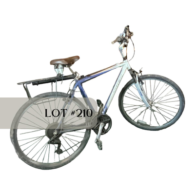 Lot 210 | 20â€ Alpha Aluminum Trek Bike