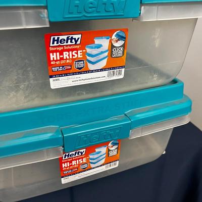 2 Under the Bed Storage TOTE 