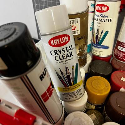 Tub Full of Spray Paint