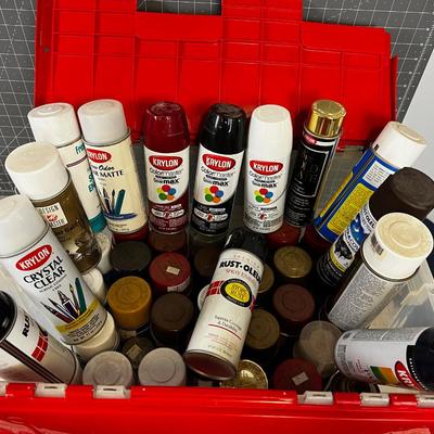 Tub Full of Spray Paint
