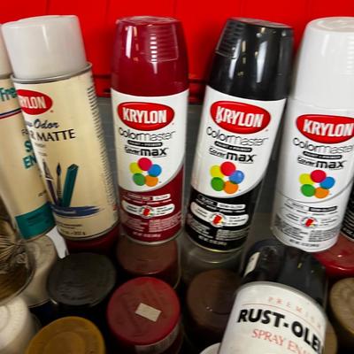 Tub Full of Spray Paint