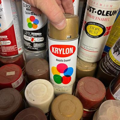 Tub Full of Spray Paint
