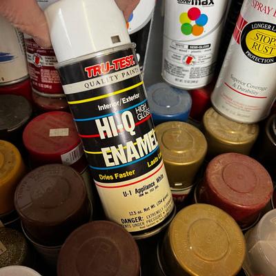 Tub Full of Spray Paint