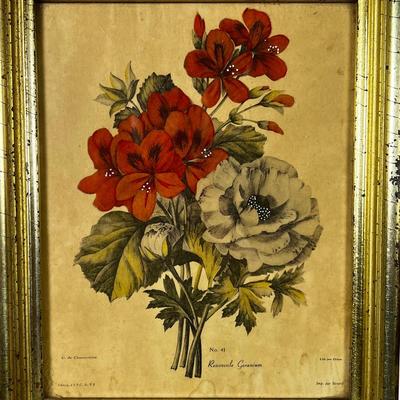 1426 Pair of Botanical Lithographs Published by A.P.P. Co. NY