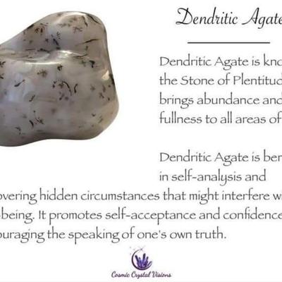 DENDRITIC AGATE TUMBLED