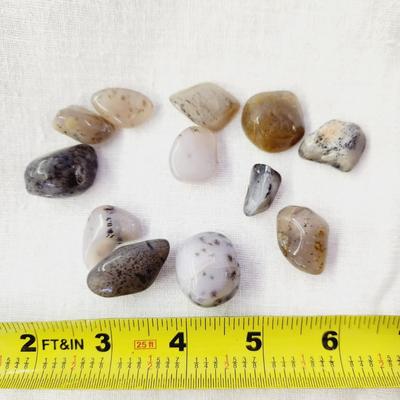 DENDRITIC AGATE TUMBLED