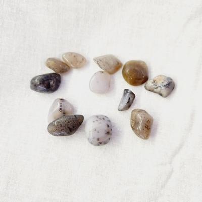 DENDRITIC AGATE TUMBLED