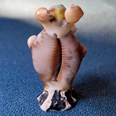 CUTE AND FUN ALL SEASHELL KANGAROO w/ JOEY