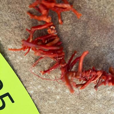 Stick Coral Necklace