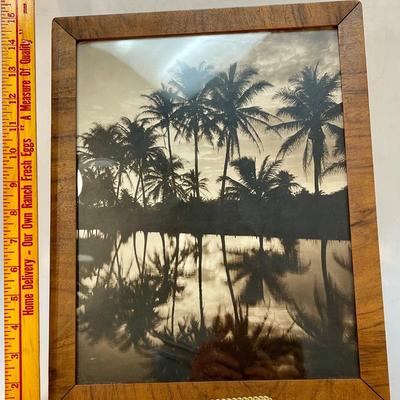 Framed Vintage Photo Tropical Palm Trees Sunset Reflection Monochromatic Black & White