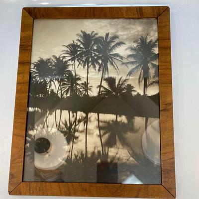 Framed Vintage Photo Tropical Palm Trees Sunset Reflection Monochromatic Black & White