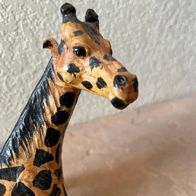 Giraffe Laying down