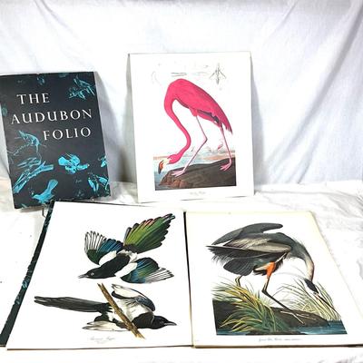 1473 Vintage 1964 "The Audubon Folio" Set of Bird Prints Textbook by George Dock Jr.