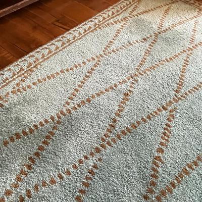 Nice Blue Area Rug
