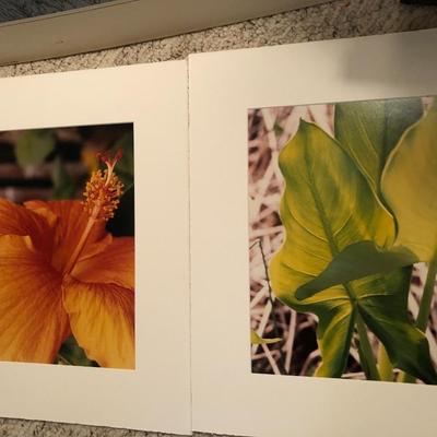 Four Pictures/Print Vincent Van Gogh -Lot 264