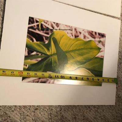 Four Pictures/Print Vincent Van Gogh -Lot 264