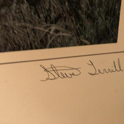 Four Pictures/Print Vincent Van Gogh -Lot 264