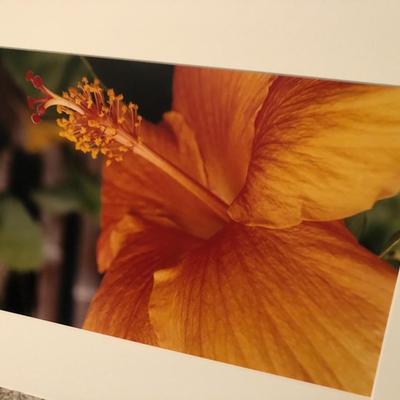 Four Pictures/Print Vincent Van Gogh -Lot 264