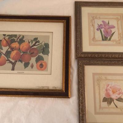 Framed Home Wall Decor Pictures -Lot 265