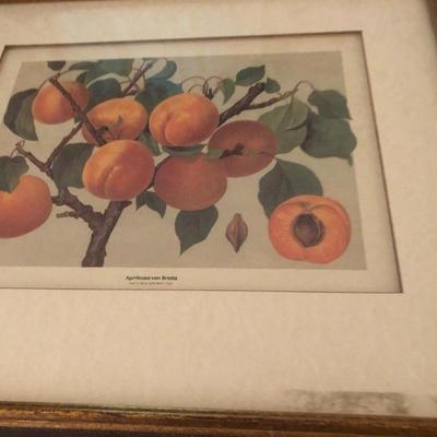 Framed Home Wall Decor Pictures -Lot 265