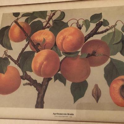 Framed Home Wall Decor Pictures -Lot 265