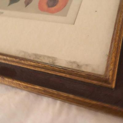 Framed Home Wall Decor Pictures -Lot 265