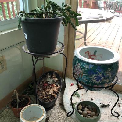 Plants-Pots-Stands-Stones Lot 284