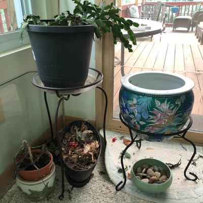 Plants-Pots-Stands-Stones Lot 284